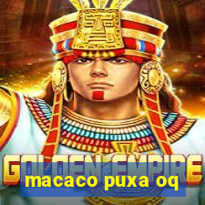 macaco puxa oq